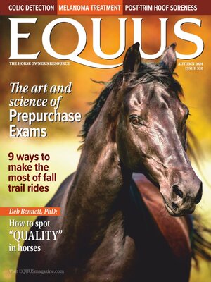 cover image of Equus